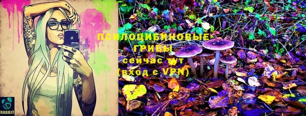 бутират Медвежьегорск